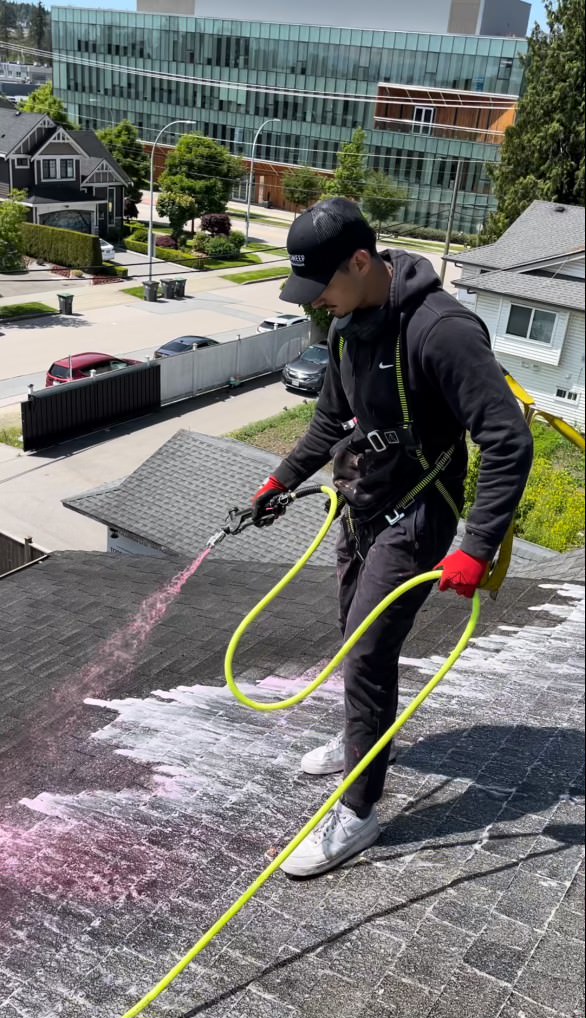Roof Moss Removal